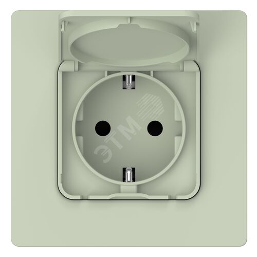 FLITE Розетка с заземлением с защитными шторками и крышкой 16А IP44 РСшкр11-0-44-ФлП панг