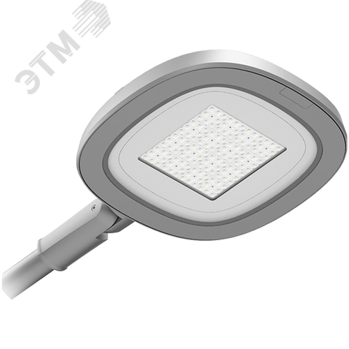 Светильник светодиодный уличный SKYLINE LED 30W DW1 730 RAL9005
