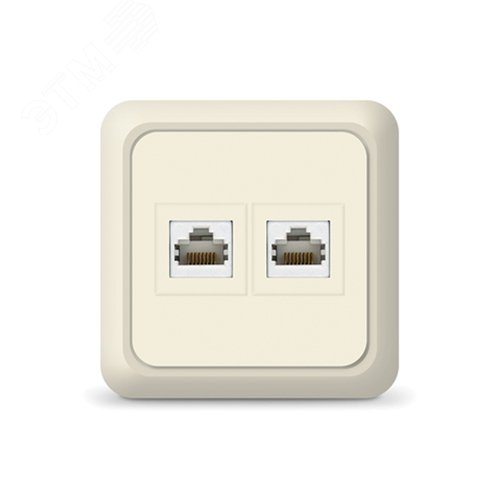 Розетка компьютерная двухместная Олимп,наружная, 1А, RJ45, бежевая (еврослот)