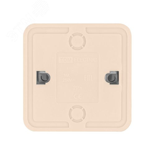 Розетка 2П+3 открытой установки IP20 16А 250В (керамика) сл. кость Ладога