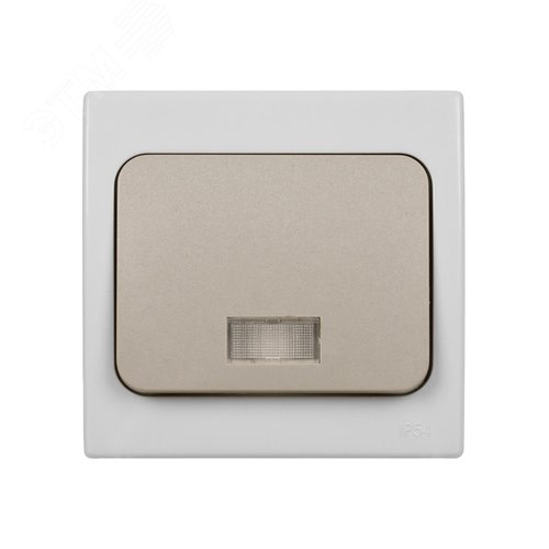 Выключатель 1-кл. с подсветкой скрытой установки IP54 10А серый Вуокса
