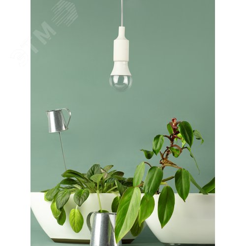 Фитолампа для растений светодиодная FITO-20W-RB-E27 красно-синего спектра 20 Вт Е27