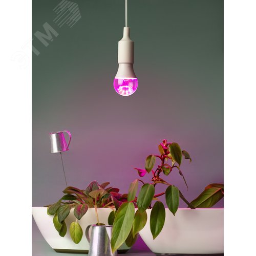 Фитолампа для растений светодиодная FITO-20W-RB-E27 красно-синего спектра 20 Вт Е27