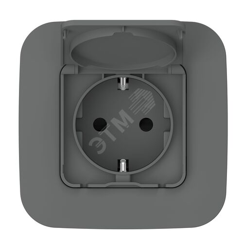 FLITE Розетка с заземлением с защитными шторками и крышкой 16А IP44 РСшкр11-0-44-ФлМА мокрый асфальт
