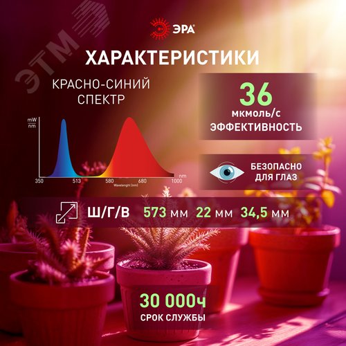 Светильник для растений, фитолампа светодиодная линейная FITO-18W-PL-LINE 573-GR красно-синего спектра 18 Вт Т5
