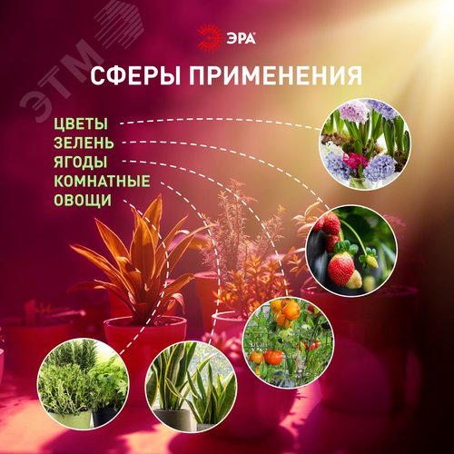 Светильник для растений, фитолампа светодиодная линейная FITO-18W-PL-LINE 573-GR красно-синего спектра 18 Вт Т5