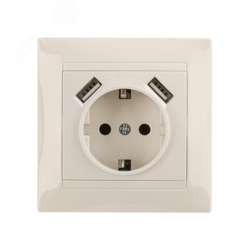 Розетка 2П+З 16А 250В + 2 USB порта 2,1А 5В сл.кость Лама