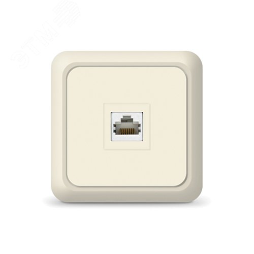 Розетка компьютерная одноместная Олимп,наружная, 1А, RJ45, бежевая (еврослот)