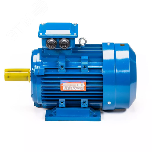 Электродвигатель 5АИ 80 В4 ED 1.5/1500 IM 1081