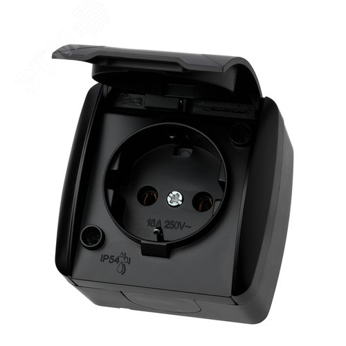 Розетка 2П+З открытой установки IP54 16А с крышкой графит Селигер TDM
