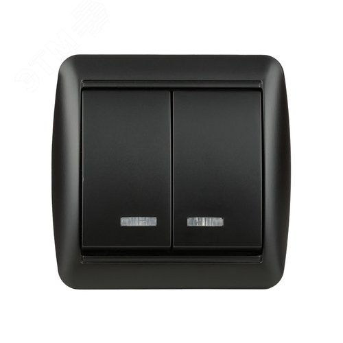 Выключатель 2-кл. открытой установки с подсветкой IP44 10А графит Селигер TDM