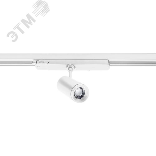 Светильник ART MINIZOOM/T 10W D15/55 9727 WH DIM