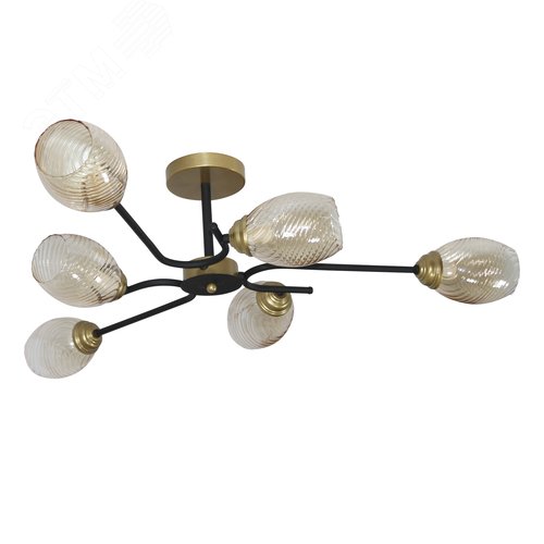 Светильник потолочный Юна 161 черн.муар.зол. НПБ 01-6х60-127 Е14