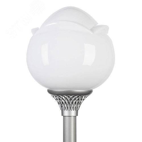 Светильник светодиодный Адонис LED-40-СПШ/Т60 (730/RAL7040/D/0/GEN2)