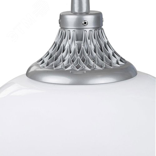 Светильник светодиодный Капля LED-40-СПШ/С1 (730/RAL7040/D/0/GEN2)