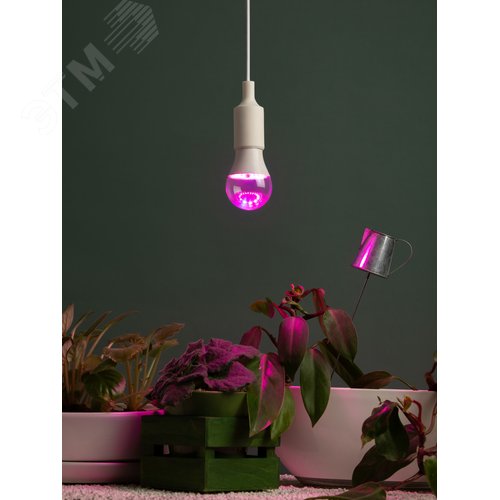 Фитолампа для растений светодиодная FITO-25W-RB-E27 красно-синего спектра 25 Вт Е27