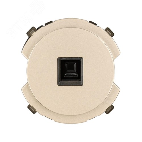 Розетка компьютерная RJ45 шампань Байкал TDM