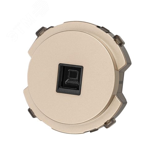 Розетка компьютерная RJ45 шампань Байкал TDM