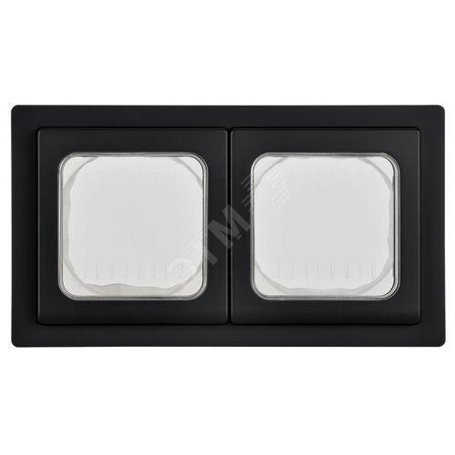 FLITE Рамка 2-местная IP55 Рпро-2-55-ФлЧ черный