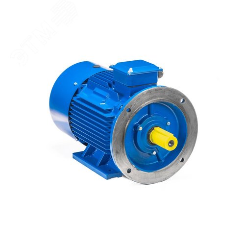 Электродвигатель 5АИ 100 L4 ED 4/1500 IM 2081