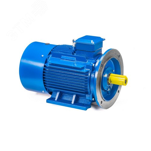 Электродвигатель 5АИ 100 L4 ED 4/1500 IM 2081