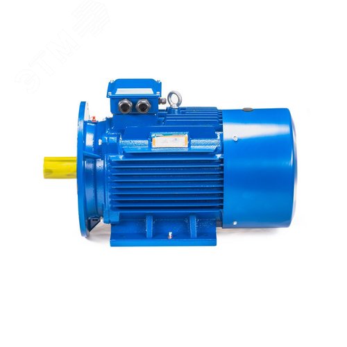 Электродвигатель 5АИ 100 L4 ED 4/1500 IM 2081