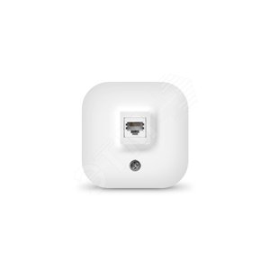 Розетка компьютерная одноместная серия IONICH, о/у, 1А, RJ45, белая (еврослот)
