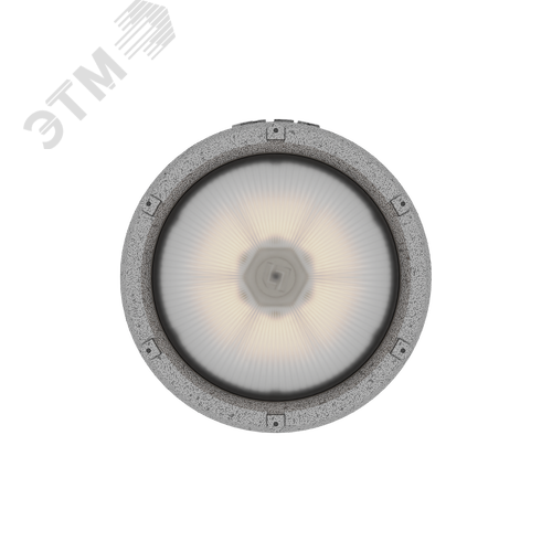 Светильник светодиодный взрывозащищенный ZENITH LED Ex G2/BT 70W D270 850 HG