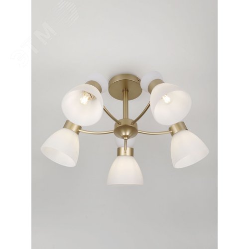 Люстра 5хЕ27 60 Вт модерн Rivoli Wendy 9184-305