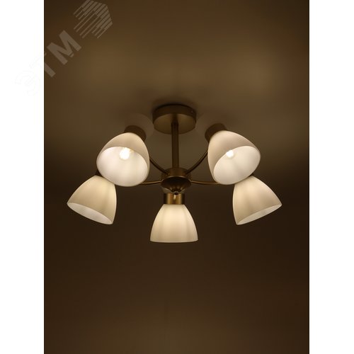 Люстра 5хЕ27 60 Вт модерн Rivoli Wendy 9184-305