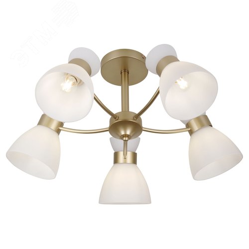 Люстра 5хЕ27 60 Вт модерн Rivoli Wendy 9184-305