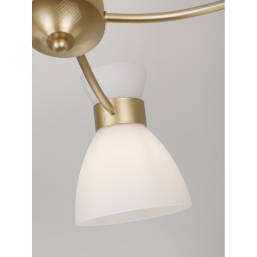 Люстра 5хЕ27 60 Вт модерн Rivoli Wendy 9184-305