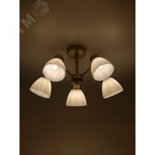 Люстра 5хЕ27 60 Вт модерн Rivoli Wendy 9184-305
