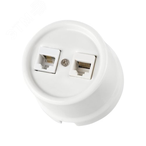 Розетка телефонная RJ11 + компьютерная RJ45 белая Болонь TDM