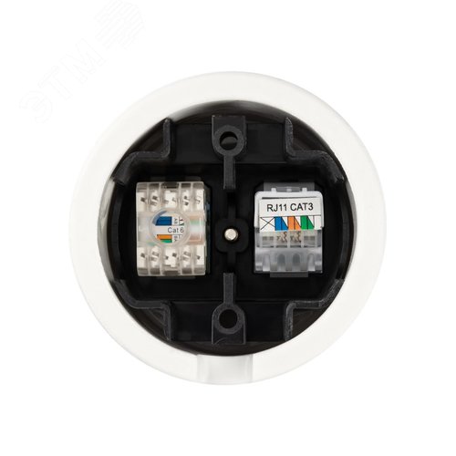 Розетка телефонная RJ11 + компьютерная RJ45 белая Болонь TDM