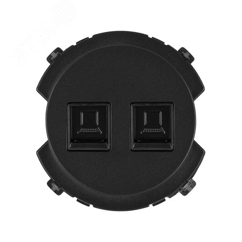 Розетка компьютерная двойная RJ45 агат Байкал TDM