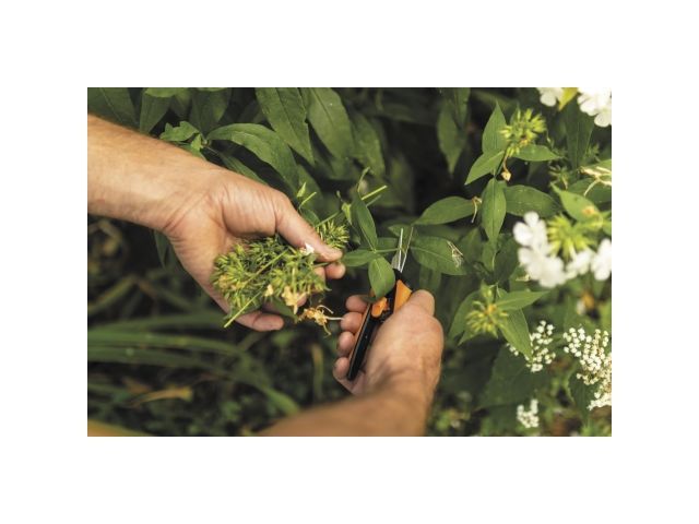 Ножницы для цветов SP13 FISKARS