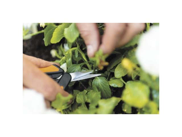 Ножницы для цветов SP13 FISKARS