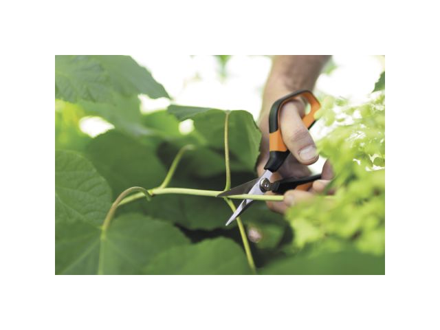 Ножницы для цветов SP15 Solid FISKARS