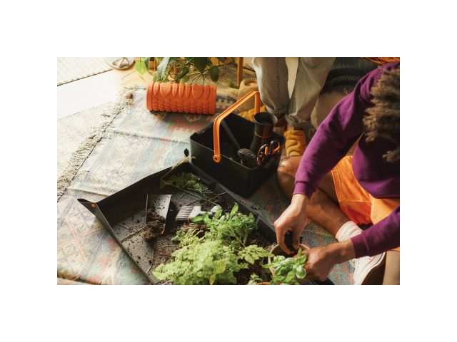 Ножницы для цветов SP15 Solid FISKARS