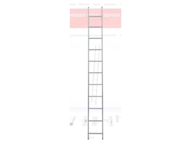 Лестница алюм. односекц. 289см 11 ступ., 3,8 кг PRO STARTUL (ST9945-11)