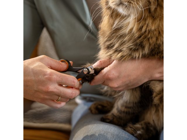 Когтерез малый PET FISKARS