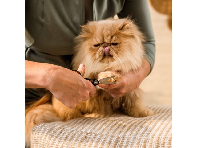 Ножницы с закругл. концами для животных PET FISKARS