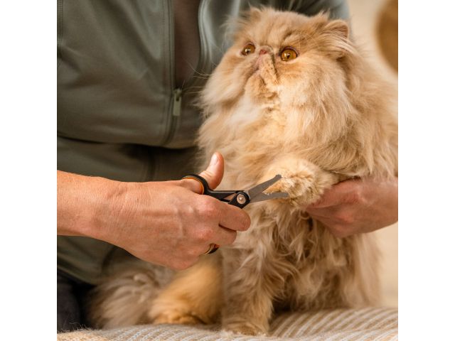 Ножницы с закругл. концами для животных PET FISKARS