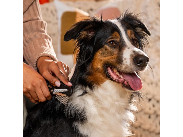 Ножницы филировочные для животных PET FISKARS