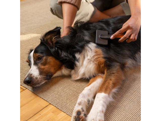 Щетка для шерсти силикон. PET FISKARS