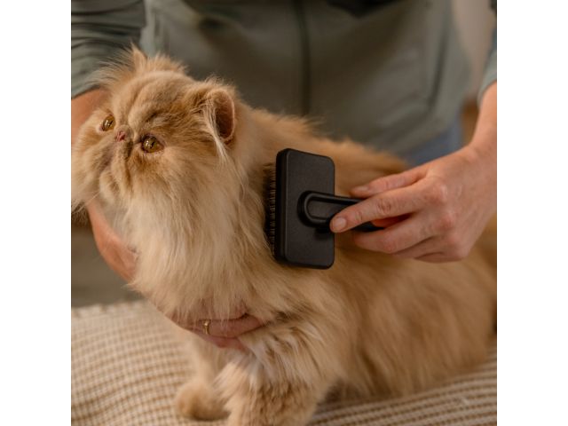 Щетка для шерсти PET FISKARS