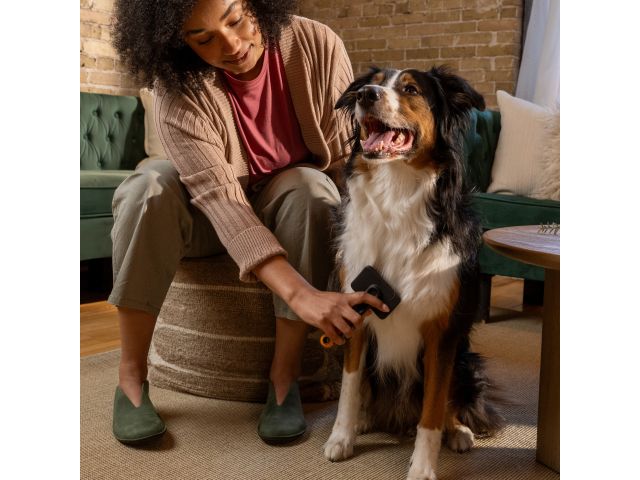 Щетка для шерсти PET FISKARS