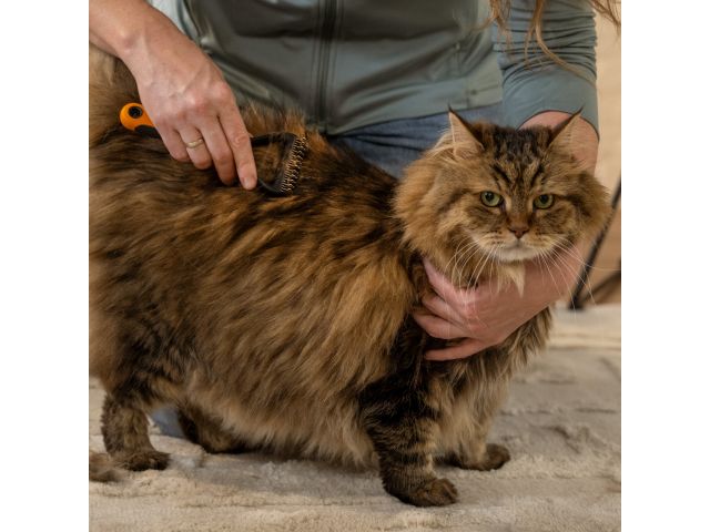 Пуходерка PET FISKARS