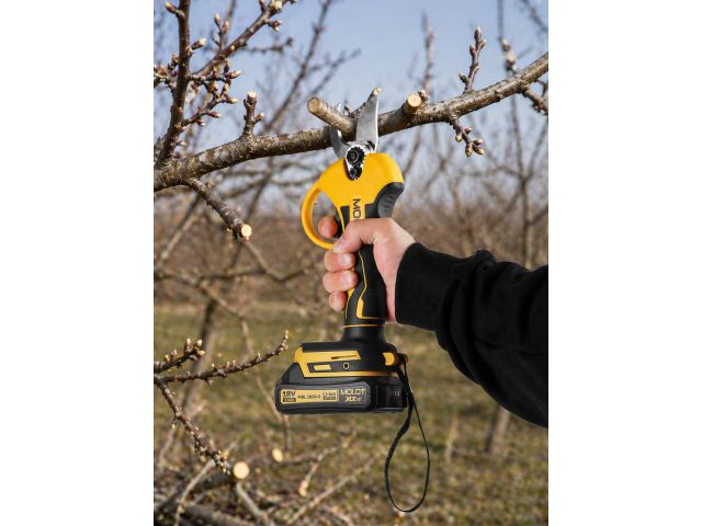 Секатор аккумуляторный MOLOT MCBS 1826 XLT Lite SET 1